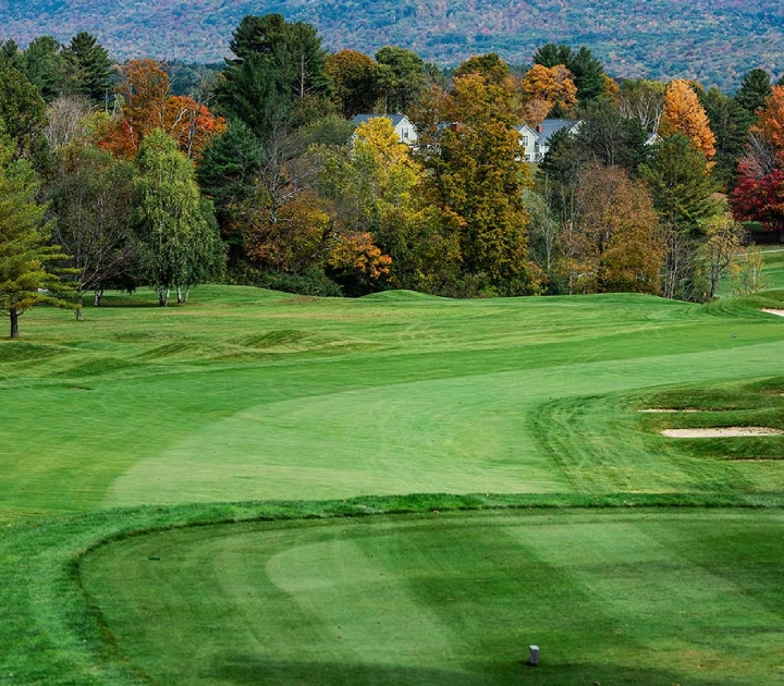 The Science Behind Biochar in Golf Course Rootzones